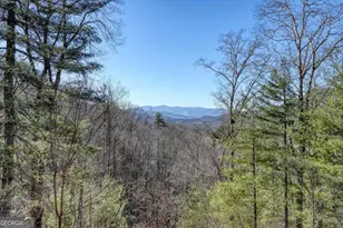 310 Barefoot Hills Rd, Hiawassee, GA 30546 - Photo 2