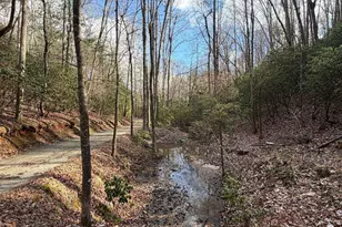 636 Bear Paw Trail, Blue Ridge, GA 30513 - Photo 66