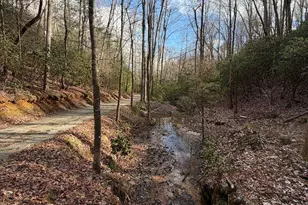 636 Bear Paw Trail, Blue Ridge, GA 30513 - Photo 64