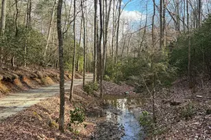 636 Bear Paw Trail, Blue Ridge, GA 30513 - Photo 68