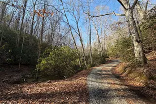 636 Bear Paw Trail, Blue Ridge, GA 30513 - Photo 70