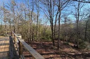 636 Bear Paw Trail, Blue Ridge, GA 30513 - Photo 38