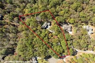 158 Treeline Ln, Ellijay, GA 30536 - Photo 72