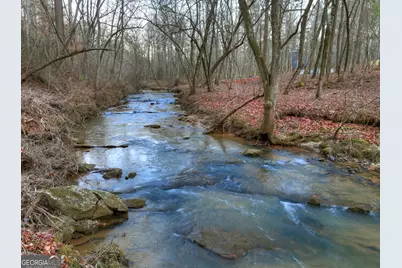 158 Tree Line Lane, Ellijay, GA 30536 - Photo 52