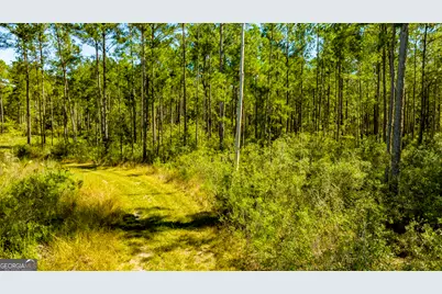 O Bay Branch Road, Claxton, GA 30417 - Photo 38
