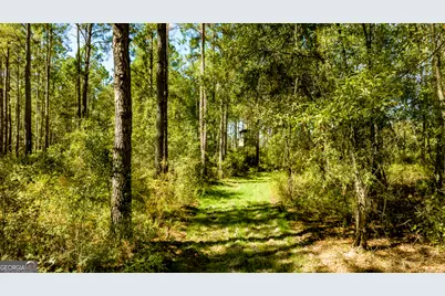 O Bay Branch Road, Claxton, GA 30417 - Photo 40