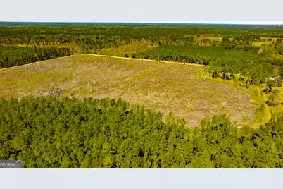 O Bay Branch Road, Claxton, GA 30417 - Photo 34
