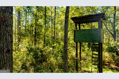 O Bay Branch Road, Claxton, GA 30417 - Photo 44