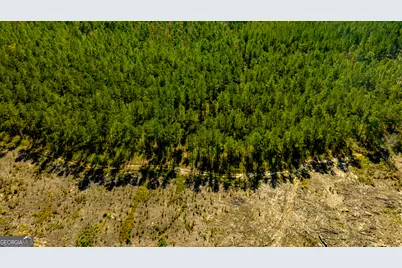 O Bay Branch Road, Claxton, GA 30417 - Photo 1