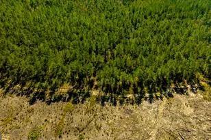 O Bay Branch Rd, Claxton, GA 30417 - Photo 1