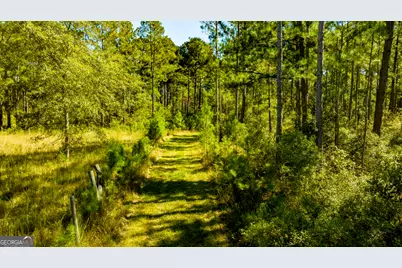 O Bay Branch Road, Claxton, GA 30417 - Photo 52