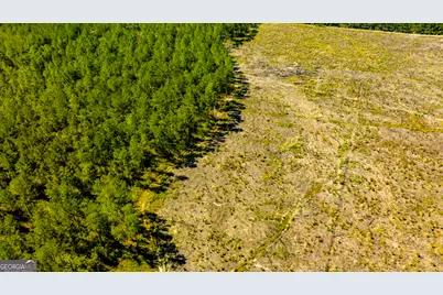 O Bay Branch Road, Claxton, GA 30417 - Photo 2