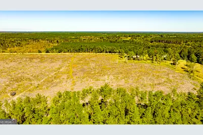 O Bay Branch Road, Claxton, GA 30417 - Photo 12