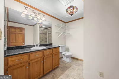 234 Chandlers Ferry Drive, Hartwell, GA 30643 - Photo 58