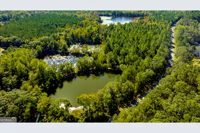 2947 Ivey Avenue, Claxton, GA 30417 - Photo 4