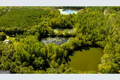 2947 Ivey Avenue, Claxton, GA 30417 - Photo 24