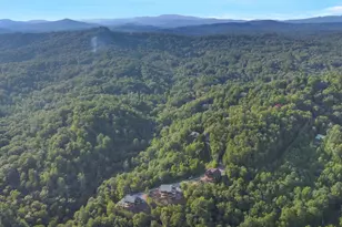 45 Eagle Watch Ct, Blue Ridge, GA 30513 - Photo 52