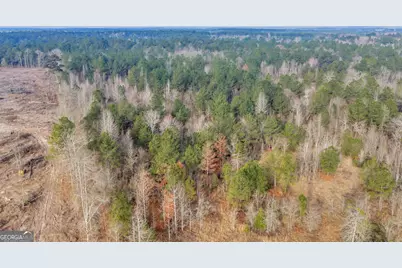 241 Foskey Cemetary Road, Adrian, GA 31002 - Photo 64