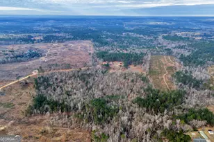 241 Foskey Cemetary Rd, Adrian, GA 31002 - Photo 84