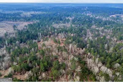 241 Foskey Cemetary Road, Adrian, GA 31002 - Photo 76