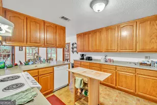 241 Foskey Cemetary Rd, Adrian, GA 31002 - Photo 22