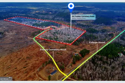 241 Foskey Cemetary Road, Adrian, GA 31002 - Photo 1
