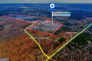 241 Foskey Cemetary Rd, Adrian, GA 31002 - Photo 1