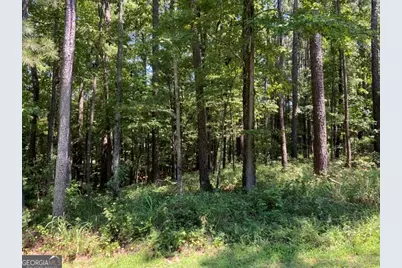 1101 Anchor Bay Circle, Greensboro, GA 30642 - Photo 6