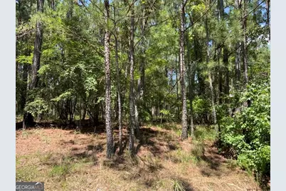 1101 Anchor Bay Circle, Greensboro, GA 30642 - Photo 4