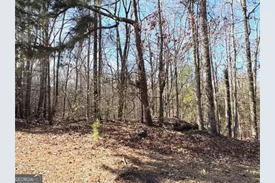 764 Hagans Mountain Road, Meansville, GA 30256 - Photo 30