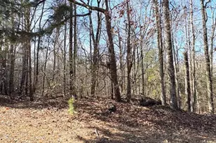 764 Hagans Mountain Rd, Meansville, GA 30256 - Photo 30