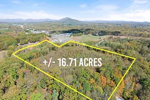 54 Totherow Rd, Cleveland, GA 30528 - Photo 1