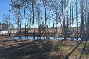 388 Forest Ave, Baxley, GA 31513 - Photo 22