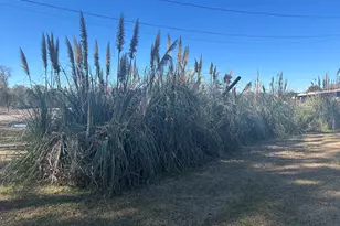 130 Meadowood Ln, Fitzgerald, GA 31750 - Photo 8