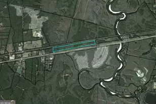 20 55 Acres 82 Hwy E, Nahunta, GA 31553 - Photo 1