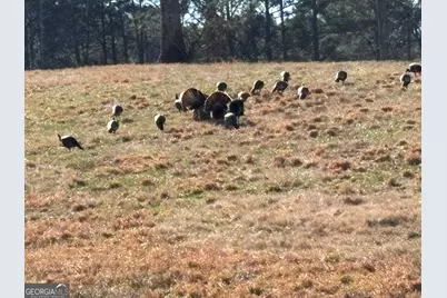 423 Debord Drive LOT #2, Waleska, GA 30183 - Photo 4