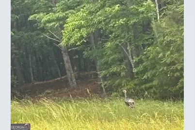 423 Debord Drive LOT #2, Waleska, GA 30183 - Photo 24