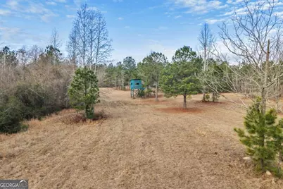 241 Foskey Cemetary Road, Adrian, GA 31002 - Photo 14