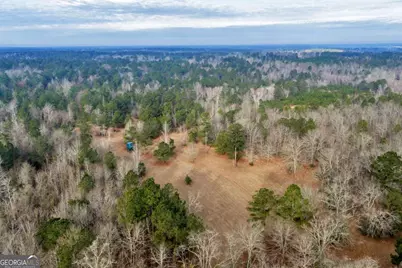 241 Foskey Cemetary Road, Adrian, GA 31002 - Photo 12