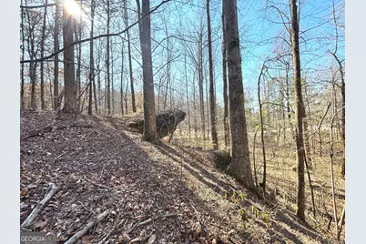 10220 Reinhardt College Parkway LOT #6, Waleska, GA 30183 - Photo 28