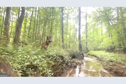 10220 Reinhardt College Parkway LOT #6, Waleska, GA 30183 - Photo 34