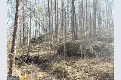 10220 Reinhardt College Parkway LOT #6, Waleska, GA 30183 - Photo 24
