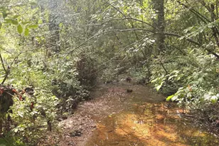 114 Addington Ln, Waleska, GA 30183 - Photo 24