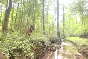 114 Addington Ln, Waleska, GA 30183 - Photo 32