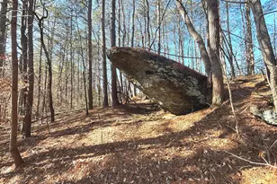 114 Addington Ln, Waleska, GA 30183 - Photo 20