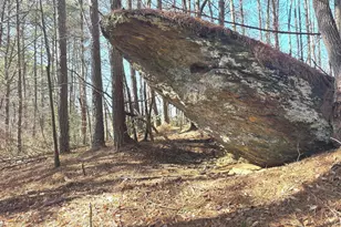 114 Addington Ln, Waleska, GA 30183 - Photo 20