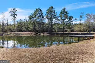 223 Hardy Johnson Rd, Fargo, GA 31631 - Photo 72