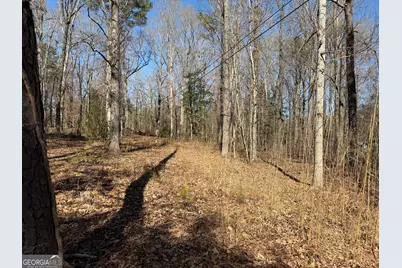 697 Tomochichi Road, Griffin, GA 30223 - Photo 2