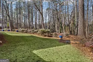 15 Springwater Way, Newnan, GA 30265 - Photo 38