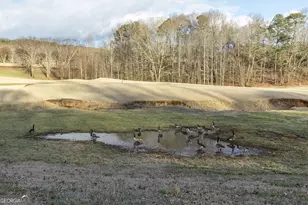 373 McIntosh Road, Clarkesville, GA 30523 - Photo 68